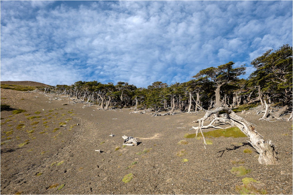  Национальный парк Лос-Гласиарc, Патагония, Аргентина