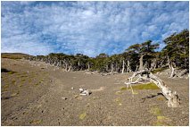  Национальный парк Лос-Гласиарc, Патагония, Аргентина