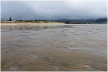 90-мильный пляж, Северный остров, Новая Зеландия