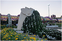 Дубай, парк цветов (Miracle Garden)