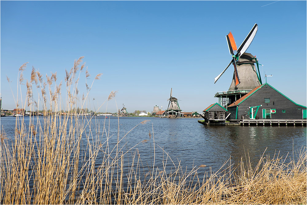 Нидерланды, ветряные мельницы Заансе Сханс