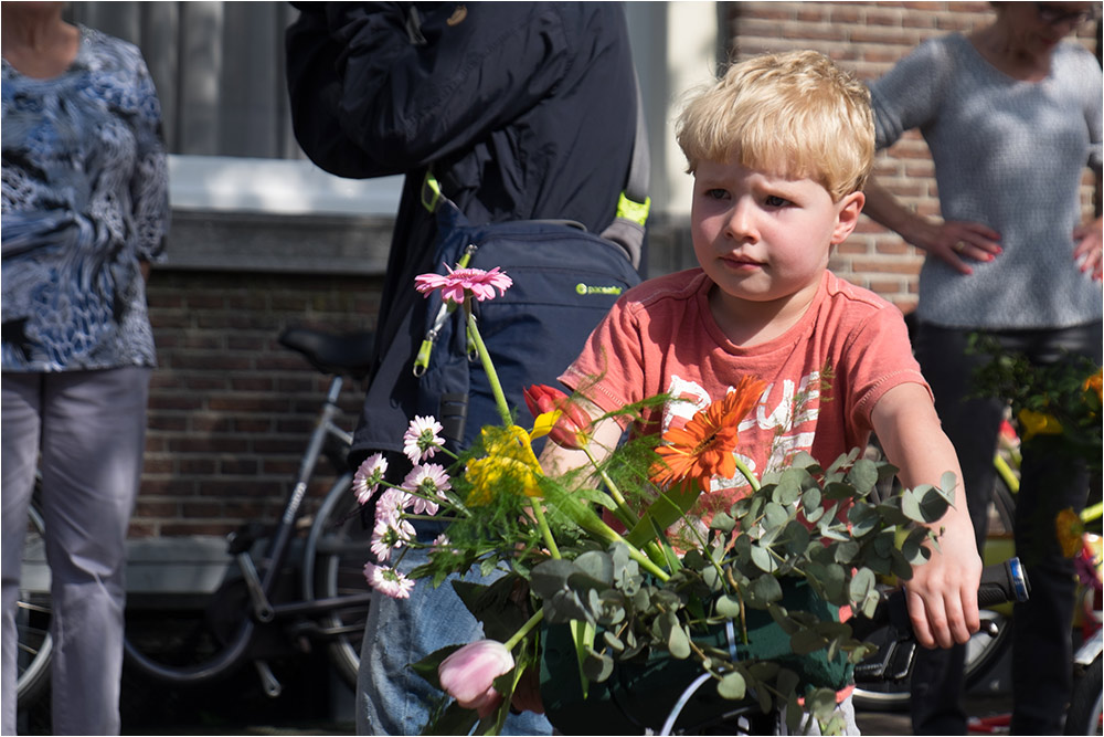 Нидерланды, Харлем, праздник цветов