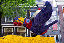 Нидерланды, Харлем, праздник цветов