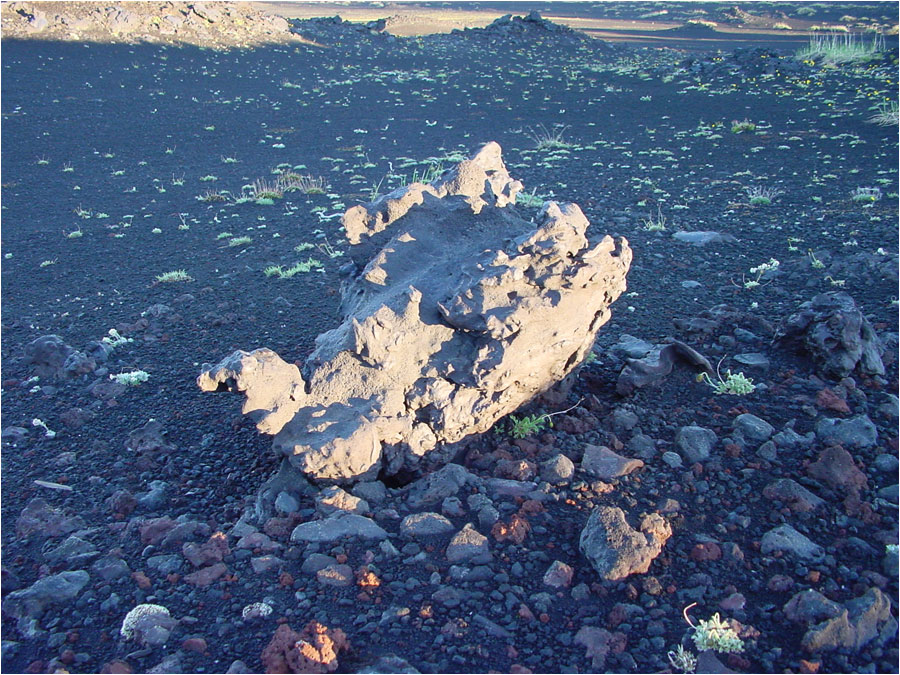 Камчатка, вулкан Толбачик